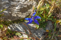 /album/schneealpe-29-oktober-2024/schneealpe-29-10-2024-16-jpg/